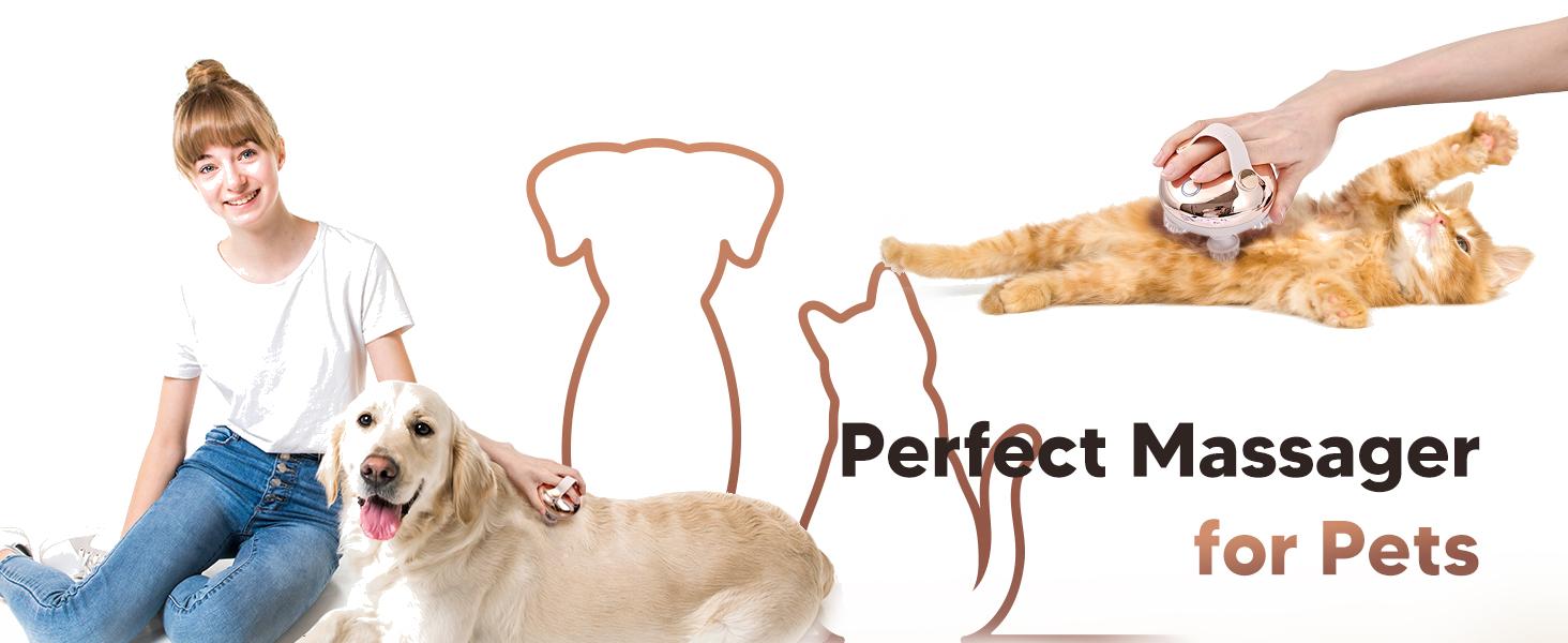 Electric Head Massager Portable Comfort Massager for Stress Relief with 8 Removable Massage Claws Waterproof Rechargeable