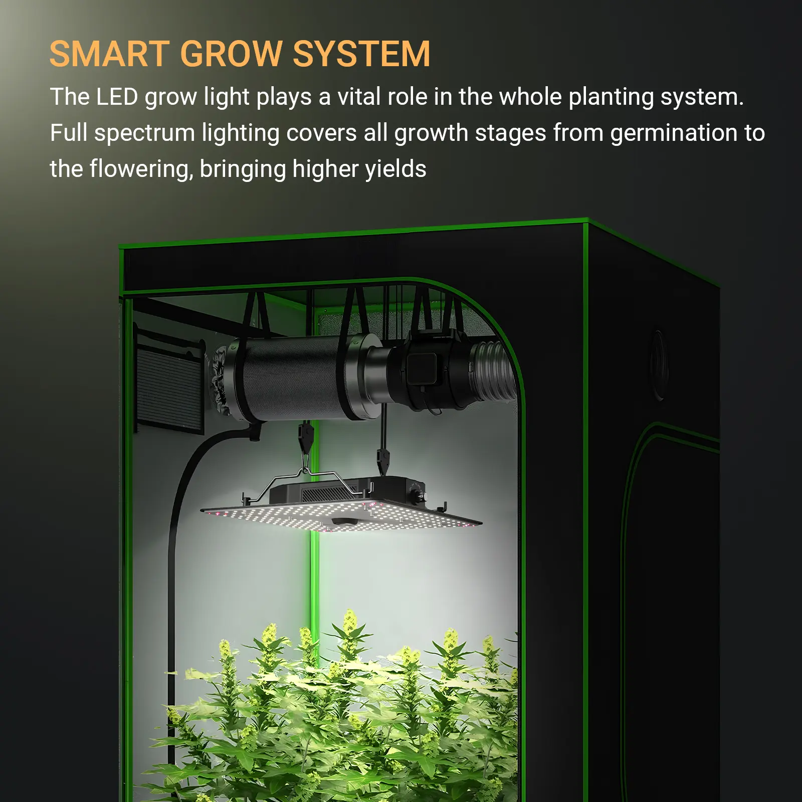Summerwins 150W Full Spectrum Grow Lights for Indoor Plants - Samsung LM301H Diodes, Dimmable Modes, Veg to Bloom Ready, IR+Red+UV, Hanging UL Certified Stainless Steel-Metal-Glass Cultivation Equipment, Leaf-Safe Temp, High Yield for 2x2/2x3 Tents