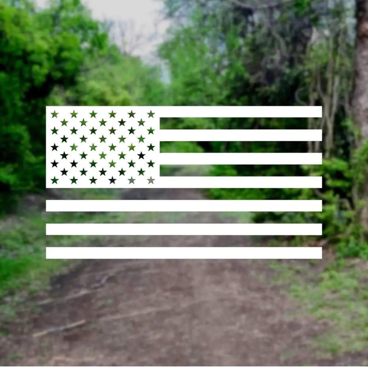 American US Flag Vinyl Decal Sticker for Laptop/Car/Truck/Window/Bumper (5in x 2.8in,White)