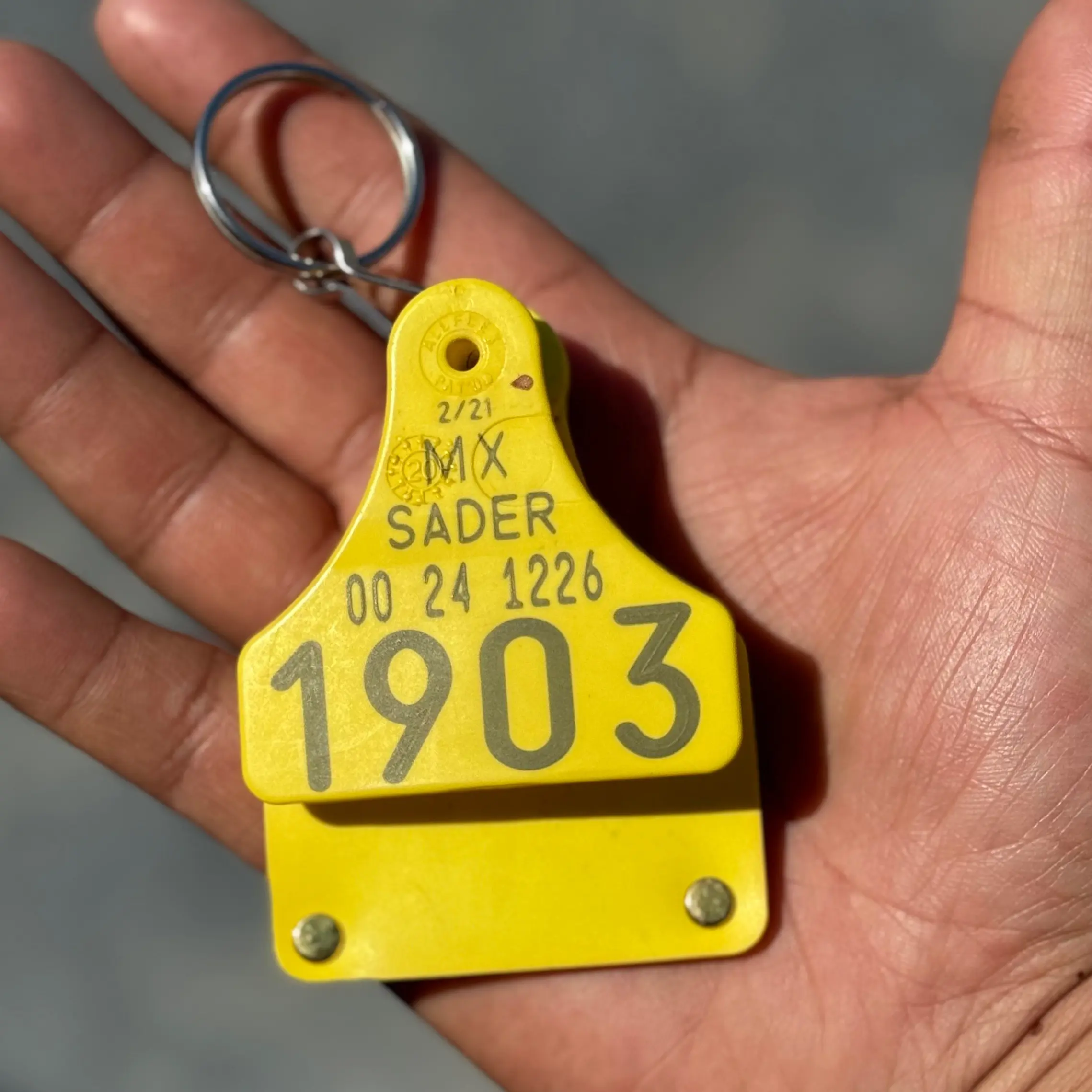 Cattle Tag Keychain/ llavero Arete Vaquero