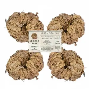 Jericho Rose Resurrection Plant 4-Pack (2"-3.5" Sizes) - Oddly Shaped Flowers, Natural Spiritual Decor, Energy Cleansing for Home & Spiritual Practices