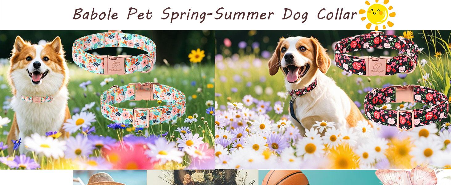 Babole Pet Basketball Dog Collar with Metal Buckle for Small, Medium & Large Dogs, Adjustable Cotton Heavy Duty Puppy Girl Boy Accessory