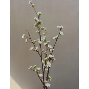 Faux Japanese Quince