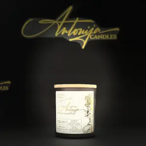 Antonija Candles Pumpkin S'mores Natural Luxurious Coconut Apricot Wax Candle with Pure Fragrance & Essential Oils Aroma Decor for Autumn