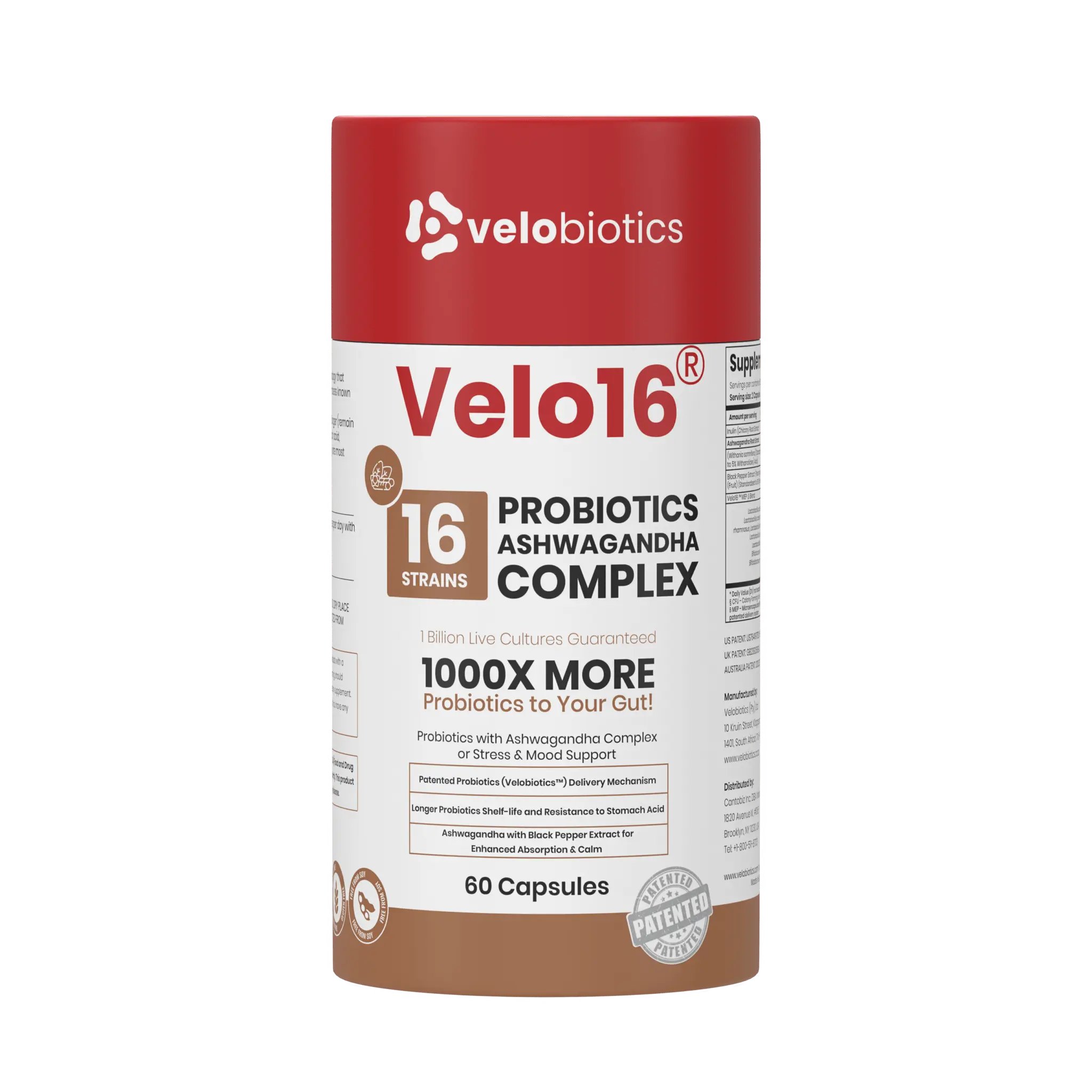 Velo16 Microencapsulated Probiotic + Ashwagandha | Stress & Cortisol Support, Calm Energy & Gut Health, 16 Strains, 60 Caps