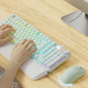 C98 Wired Keyboard and  Combo, Wired  Keyboards with Wrist Palm, Double-Shot Keycaps, Silent RGB Backlight Keyboard for Windows//PC (Green)