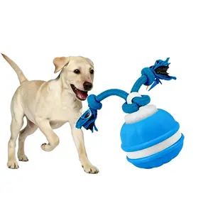 Motion Activated Tug & Roll Interactive Training Dog Ball, USB Rechargeable TPR Toy for Boredom Relief, Flash Sale: $9.99 Single / $17.99 2-Pack, Interactive Training Ball