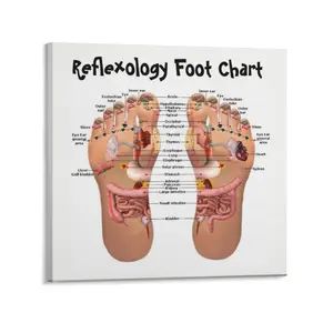 Reflexology Education Poster Office Home School Hospital Decorative Wall Art Print Gifts