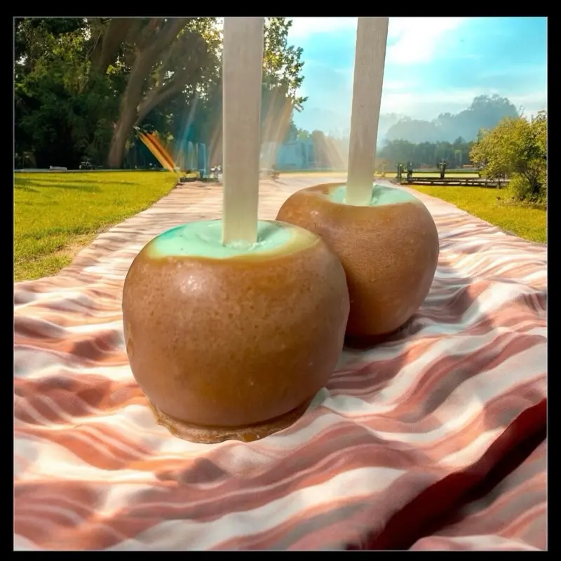 Realistic Apple wax melts