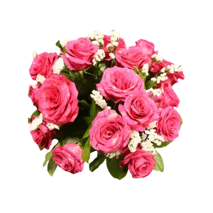 Shop exquisite Pandora Rose plant with white blooms