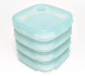 Set of 4 Divider Plates with Vented Locking Lids