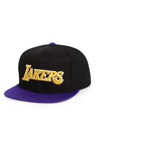 Mitchell & Ness Black/Purple NBA Los Angeles Lakers Core Basic Snapback