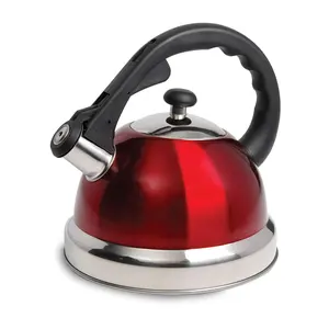 Mr.Coffee 2.2 Quart Claredale Stainless Steel T  ea Kettle