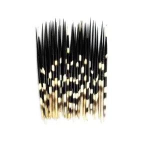 ONE African Porcupine Quill, 7 to 8 Inch Quills
