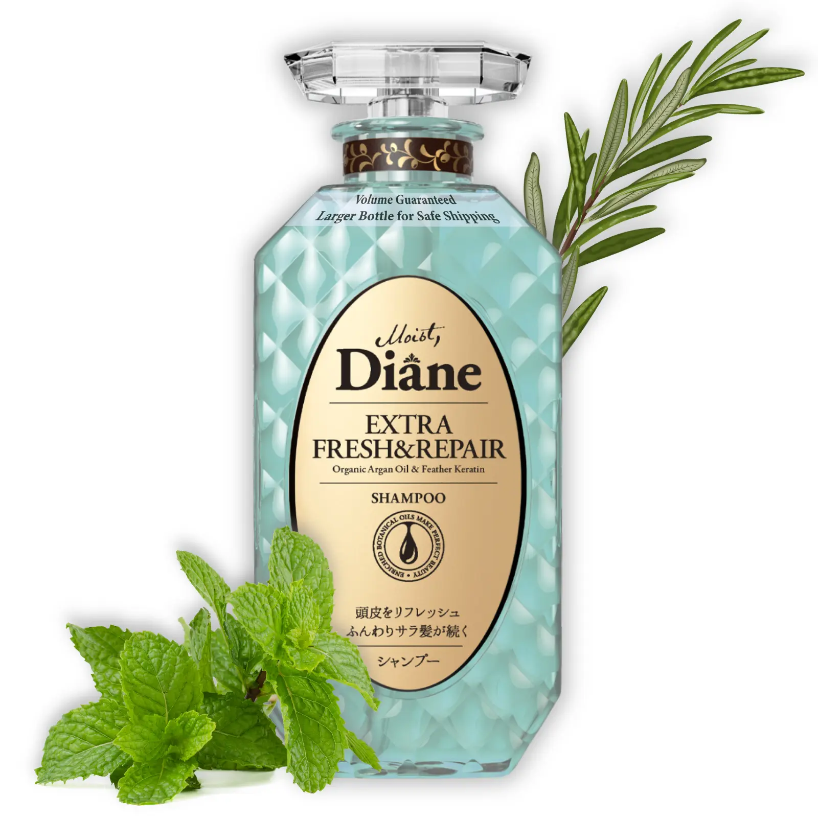 Moist Diane Perfect Beauty Scalp Health & Balance Shampoo | Extra Fresh & Hydrate | Anti-Dandruff & Oil Control Care | Official Partner