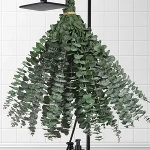 30 Pcs Dried Eucalyptus Stems for Shower, 17'' Natural Real Preserved Eucalyptus Leaves Branches Hanging, Dried Plant Bundle for Home SPA Bathroom Wedding Wall Vase Decor, Bath Essentials