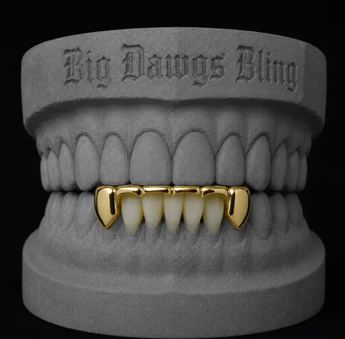 14K Gold Plated Bottom Lower Bridge Grillz