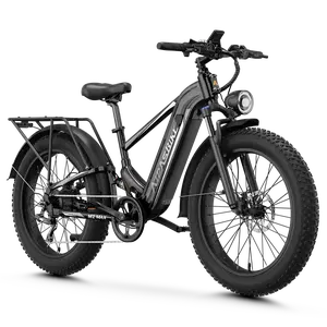 Aipas® M2 Max Hydraulic Brakes Ebike