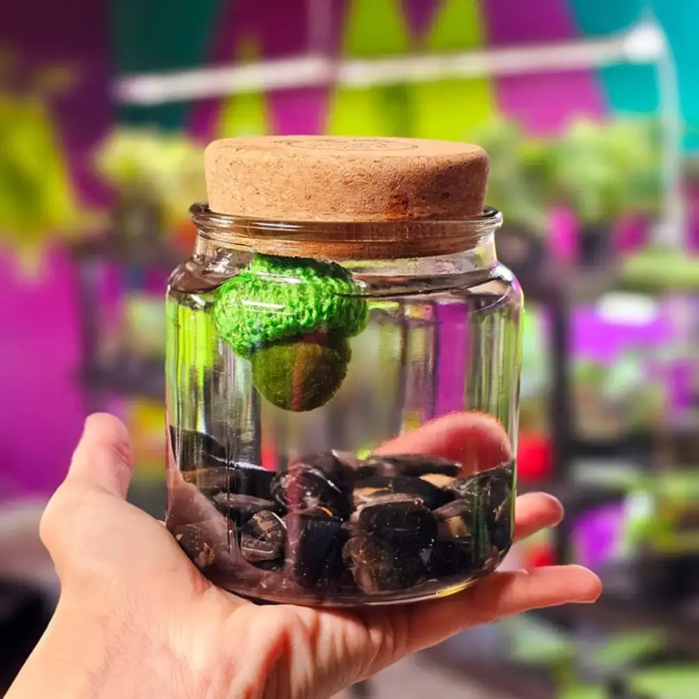 Large Moss Ball Terrarium with Obsidian Crystals, 4" Height, 4" Diameter, 1 lb, Glass Container Jar, Home Decor Plant Pet, Made in USA, Zebra Mussel-Free
