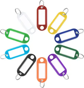 Key Tags 40 Pack Tough Plastic  with Split Ring Label Window, Assorted Colors