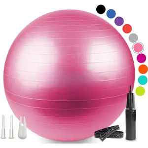 Ball Yoga Ball for Fitness, Balance, Stability, or Pregnancy, Gym Ball for Core Workout, Physical Therapy, Yoga Ball Chair for Office, Anti-Slip Anti-Burst