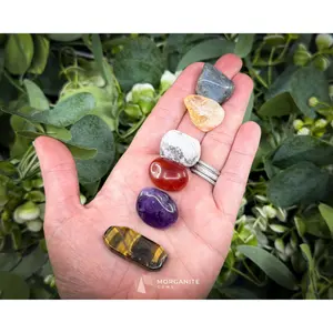 Leo Zodiac Crystal Set | 6 Gemstones + Selenite, Spiral Cage & Gift Box