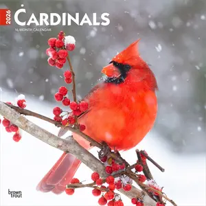 Cardinals | 2026 12 x 24 Inch (Hanging) Monthly Square Wall Calendar | Plastic-Free | BrownTrout | Animals Wildlife Red Birds