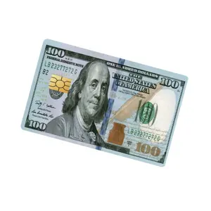 100 D-llrs Skin for Debit and Credit Card with Small Chip