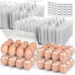60 count 12 Count Plastic Egg Cartons, with 60 count Date Labels, Bulk  Clear  Egg Containers for  Medium Eggs Storage, Suitable for Farms, Families, Markets DisplayXXAllDayGoods7
