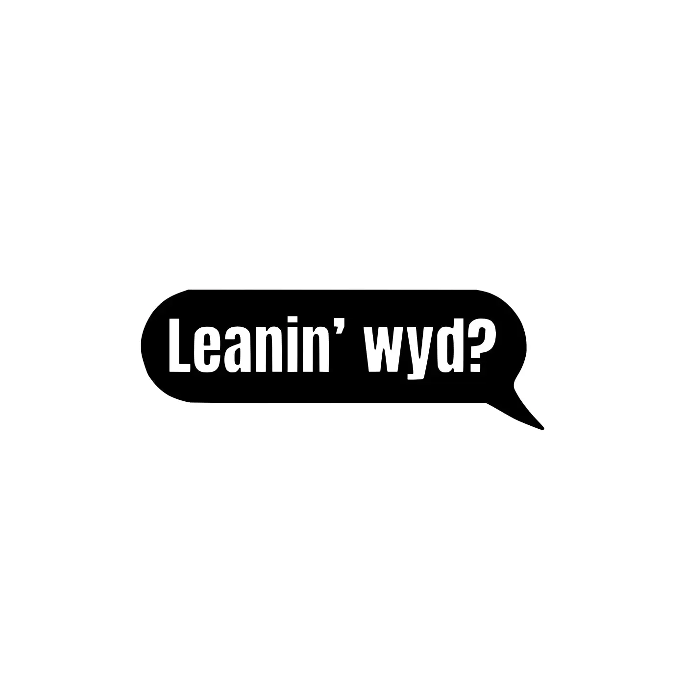 LEANIN WYD  DECAL
