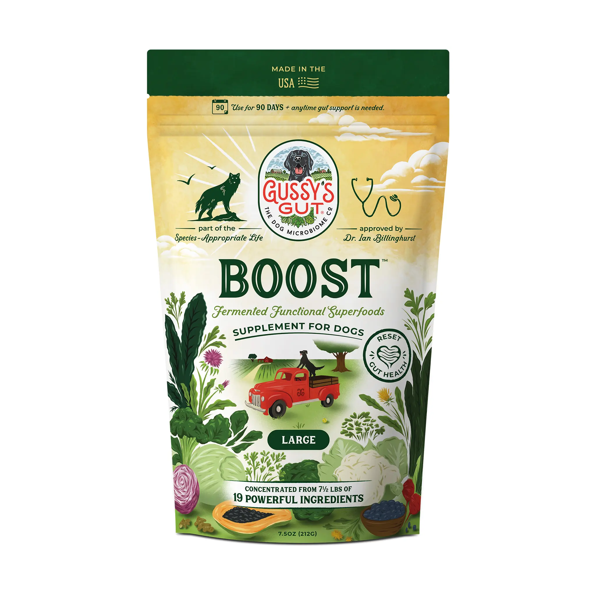 GUSSY'S GUT BOOST Organic Dog Supplement - 1 Pack, 7.5 oz, Kale, Turmeric, Wild Blueberries, Fermented Superfoods for Digestion, Stamina, Immune Support, Gut Flora, 90-Day Reset (All Life Stages)