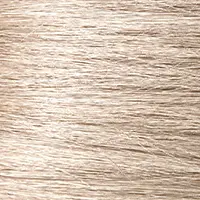 10A Lightest Ash Blonde