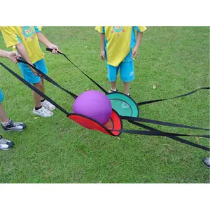 Everrich EVC-0132 Catch and Balance Band Set