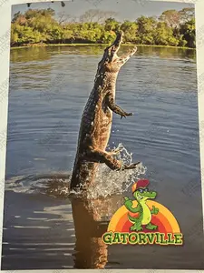 Gatorville Postcards Bad Boys 4 Ride or Die