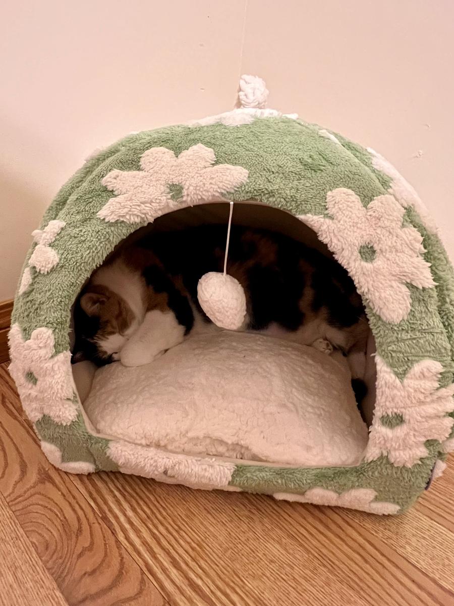 Item: Green, L (17.3x17.3x17.3)