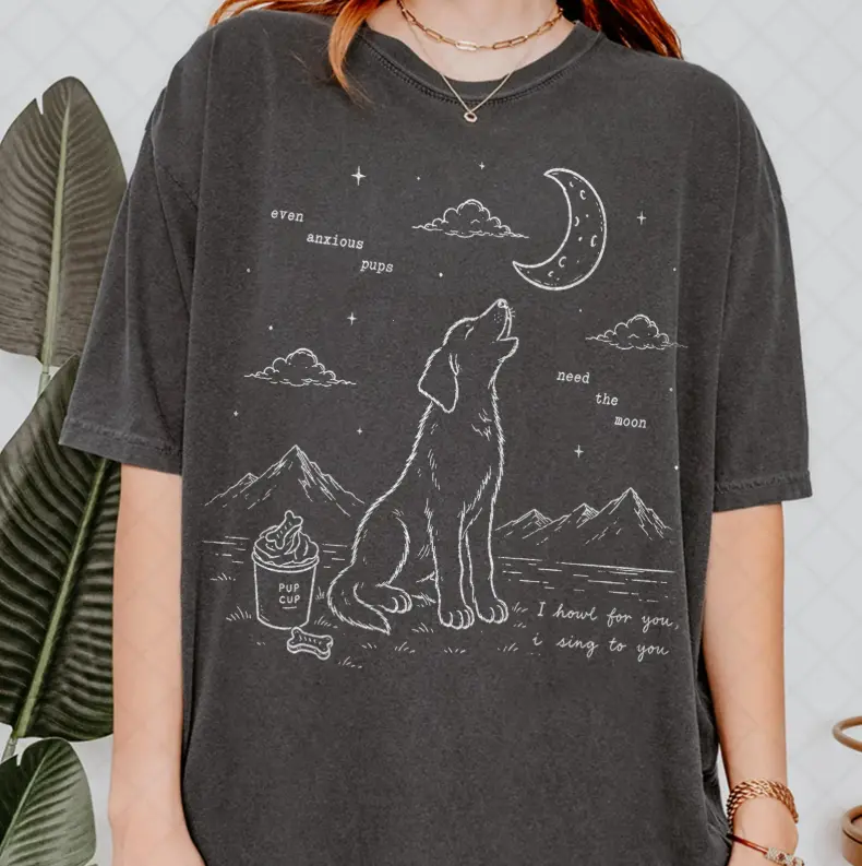 NK Apparel, Orbiter Song Inspired T-Shirt, The Divide Tour Fan Tshirt, Music Merch, NK Graphic Tee Gift For Women and Man Unisex T-Shirt