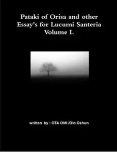 USED-Pataki of Orisa and other Essay's for Lucumi Santeria by Olo Oshun, Ota Omi (Paperback)