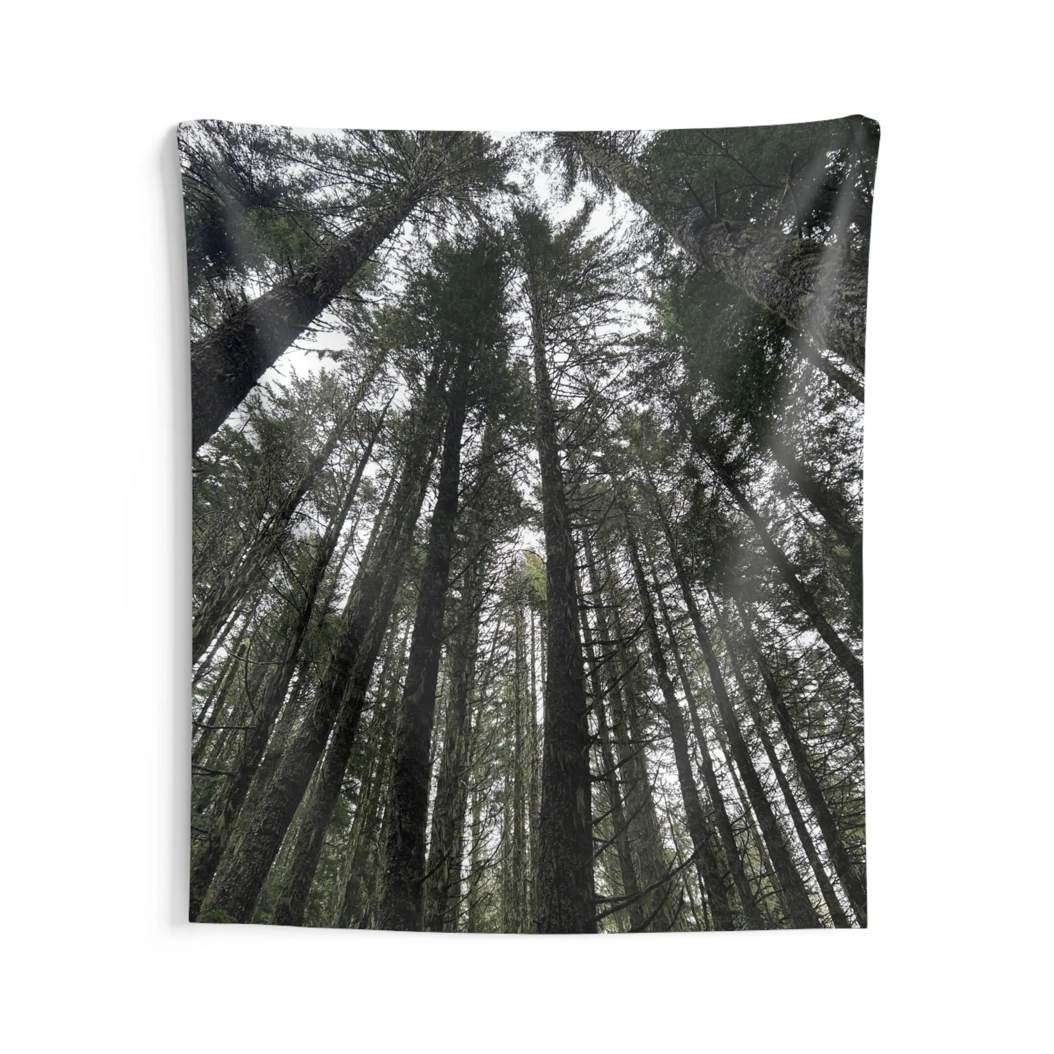 Forest Canopy Wall Tapestry Wall Art