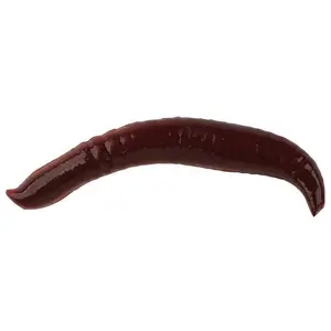 Berkley Gulp! Pinched Crawler