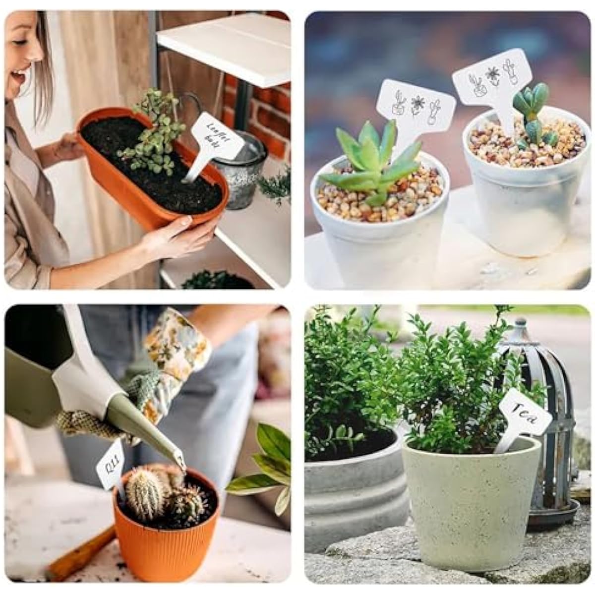 T-Type Plant Labels, 200pcs Plastic Plant Name Tags Waterproof T-Shape Tag Garden Labels Markers for Garden Vegetable Flowers Planting