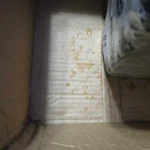 review image 2