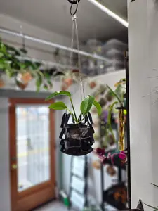 Small Plant Hanging Hammock