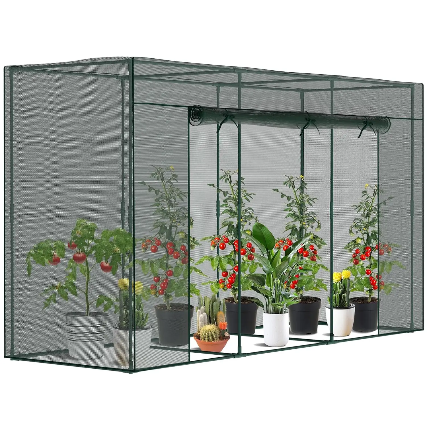 lucky bamboo plant containers Lucky Bamboo with self watering pot main image 1
