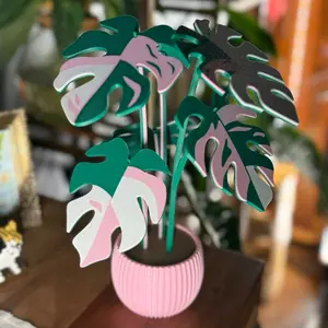 Variegated Monstera Planted Coaster Set - Unique Leaf Design Decorative Coasters for Your Space
