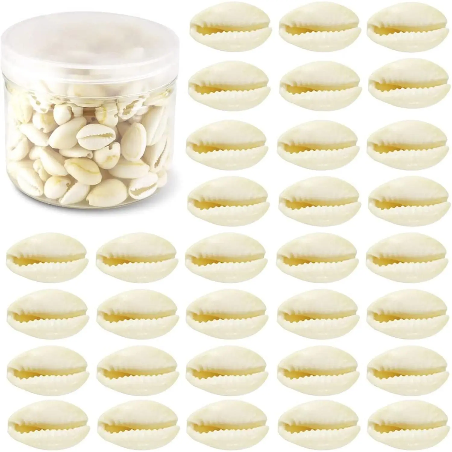 White Cowrie Shells 200 Count Bulk - No Holes 16-18mm, Whole Cowrie Shells for Party Wedding Decor & Craft Projects