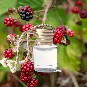 Amazing Fragrance - Blackberry Air Freshener, Home Fragrance, Clean Air Freshener, Perfume, Diffuser, Snap Bar Wax MeltGift for Women,