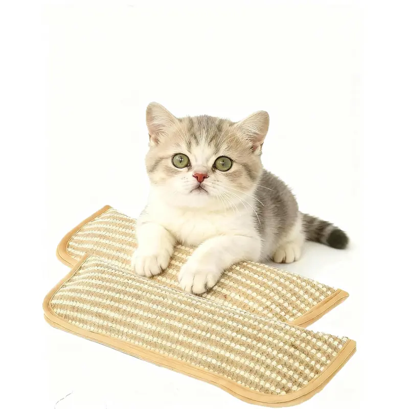 Catnip Chew Toy 2 Pack,Sisal Pillow Interactive Catnip Chew Toy,Containing A+ Organic Catnip,Suitable for Indoor Scratching, Chewing, and Teething,Fun for Kittens and Adult Cats
