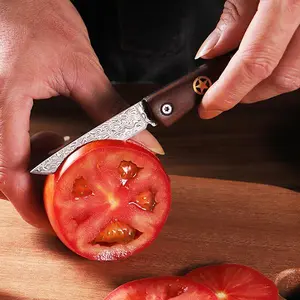 Sharp Steak Knife, Damascus Steel Blade, Wooden Handle with Brass Inlay, for Cutting Fruit, Meat, Fish, etc., Exquisite Gift for Men