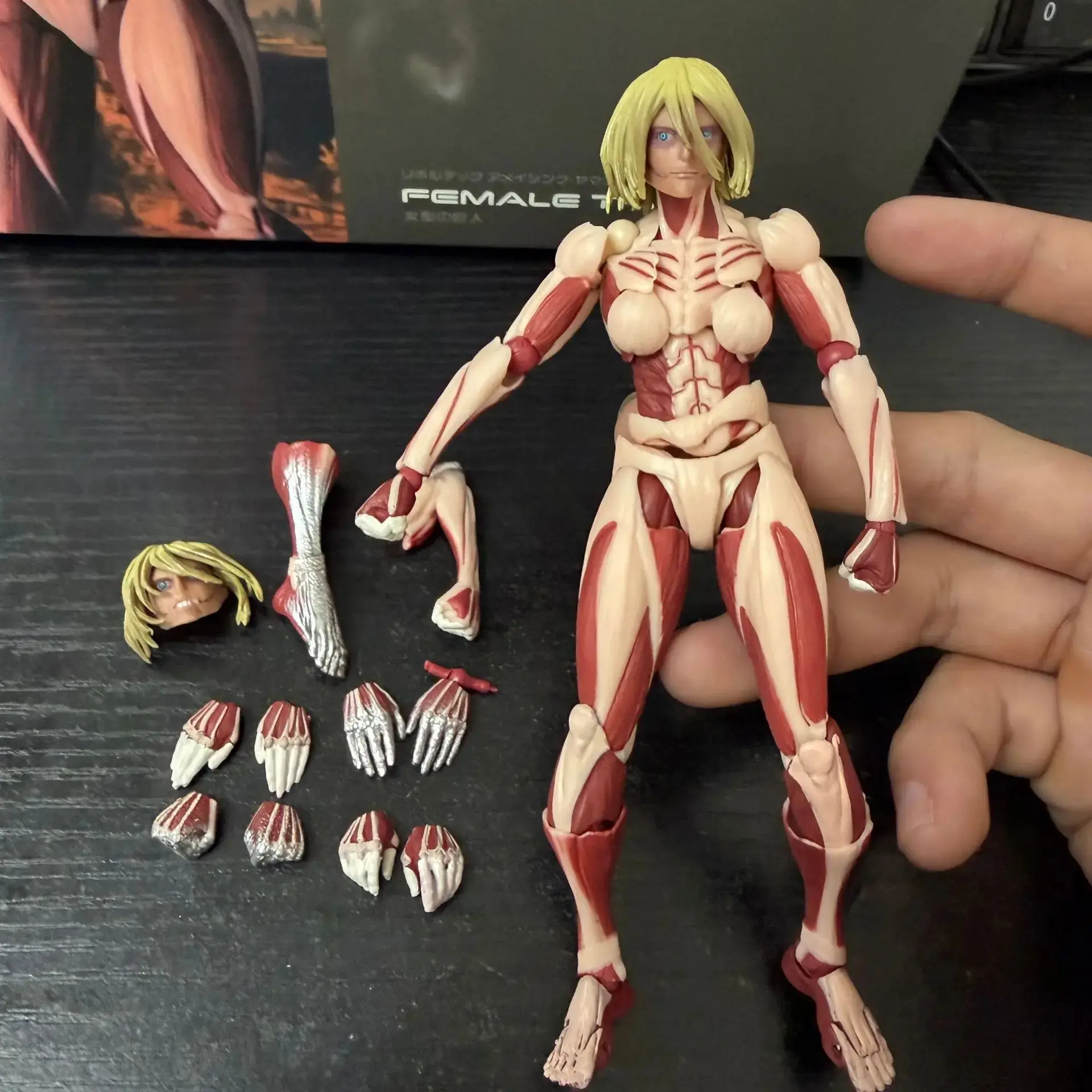 Attack On Titan Female Titan Revoltech Articulated Action Figure Collectible Model Desktop Ornament For Anime Collectors