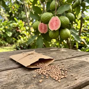 100 Tropical Red Guava Seeds for Planting - Non-GMO, Exotic & Delicious Fruit Seeds for Home Garden - Grow Vibrant Sweet Red Guavas